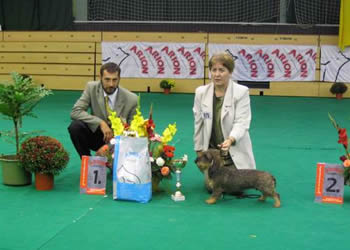 Q-RRens Kennel 